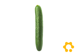 Агрокультура Групп 